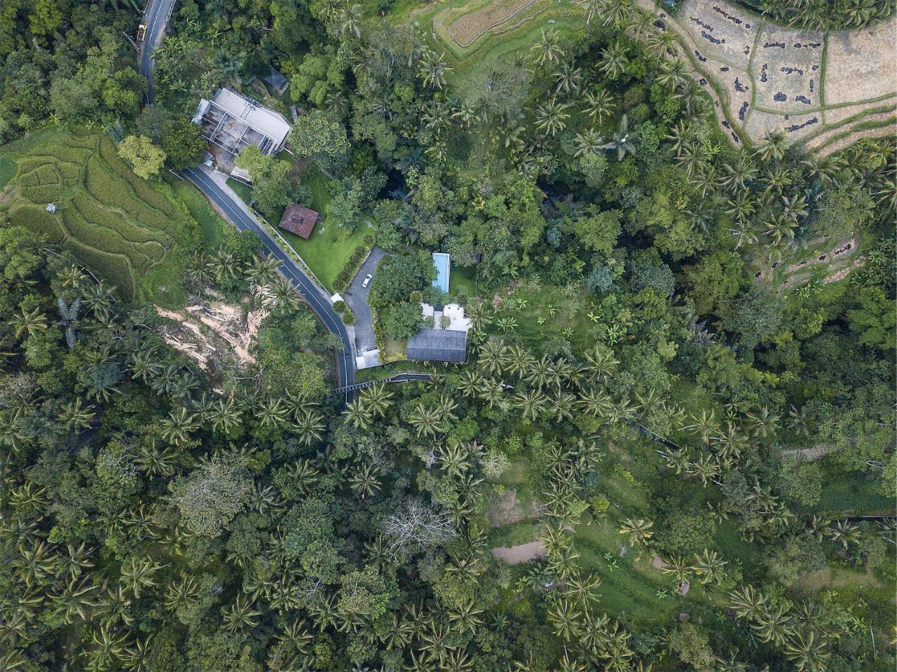 Sandhya Villa Ubud מראה חיצוני תמונה